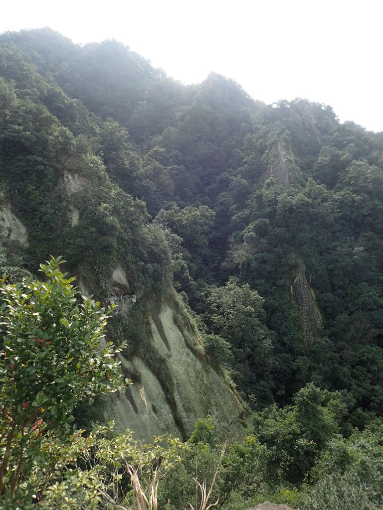 P1224283.JPG - 再訪---  平溪  孝子山登山步道