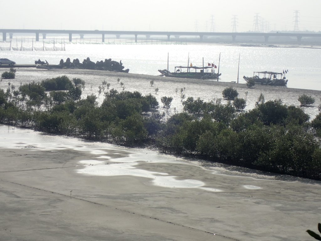 P1193853.JPG - 龍井  麗水漁港堤岸風情