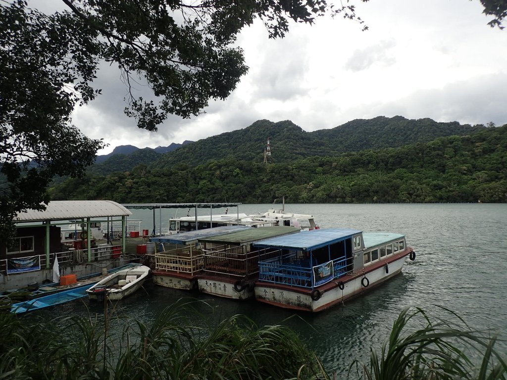 P8247044.JPG - 雨中漫遊  石門水庫