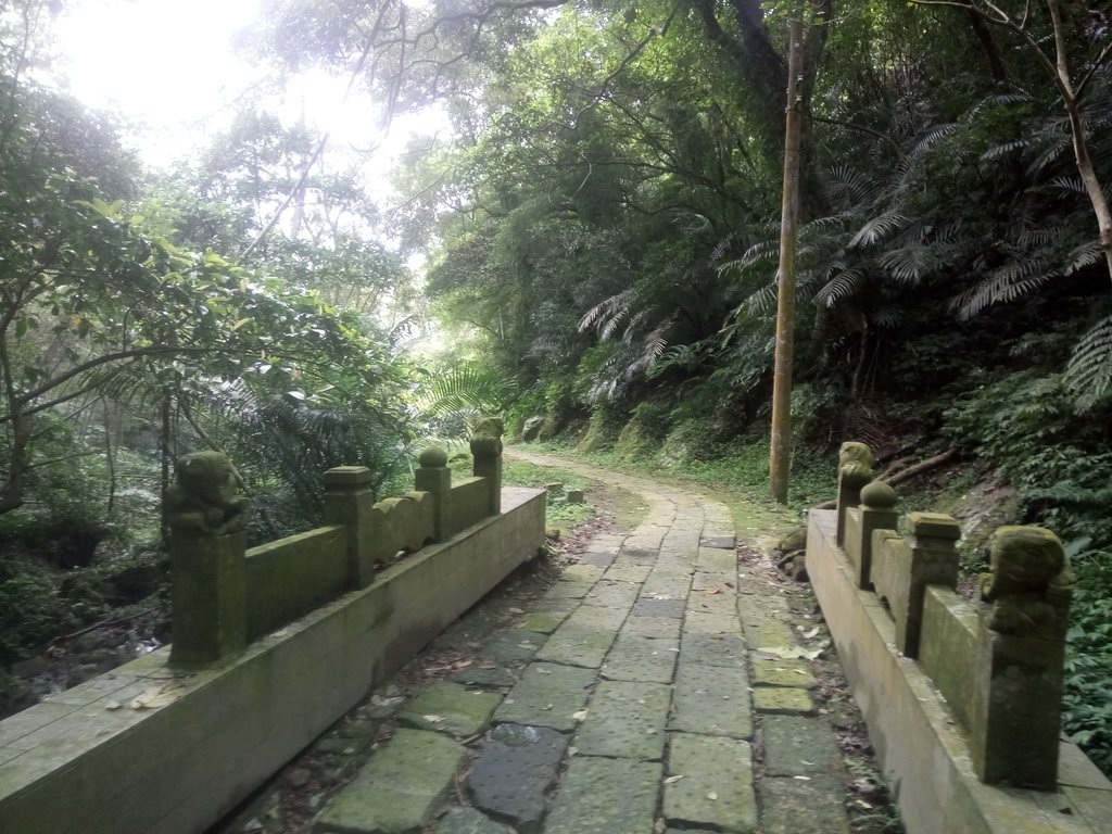 DSC_2789.JPG - 獅頭山  獅山古道  (02)