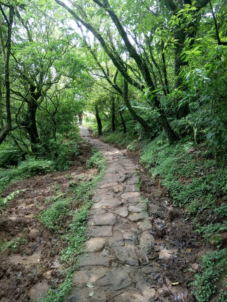 DSC_9351.JPG - 萬里  風櫃嘴  頂山