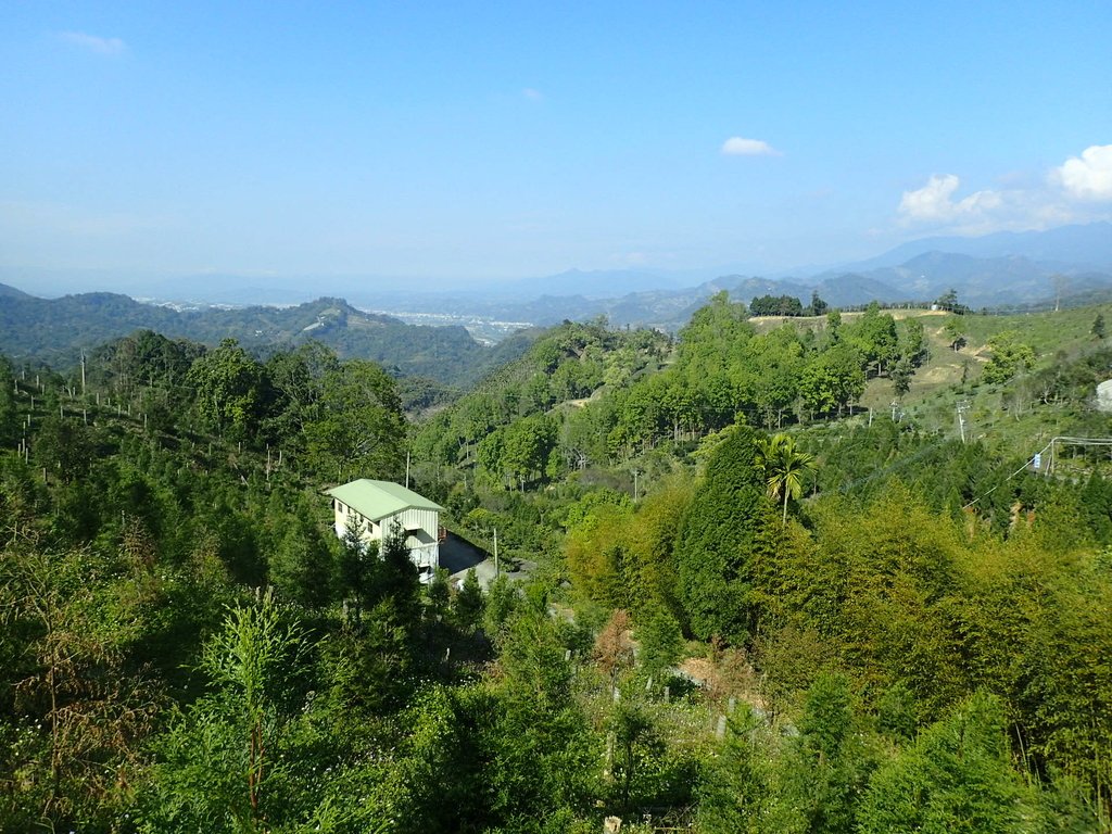 P2275994.JPG - 太平  暗影山(酒桶山)