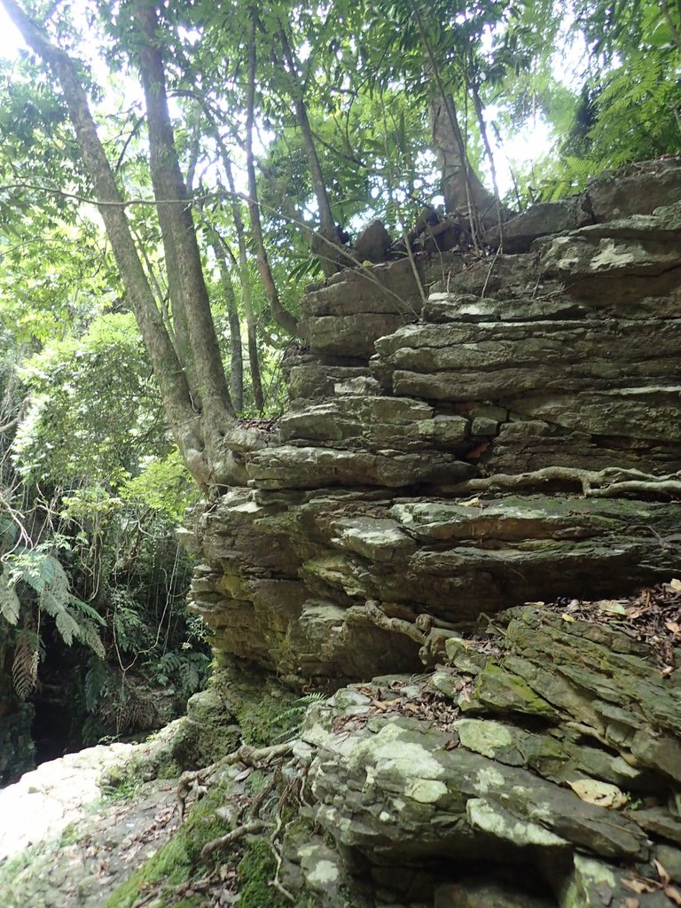 P6284914.JPG - 魚池  澀水森林步道  水上瀑布