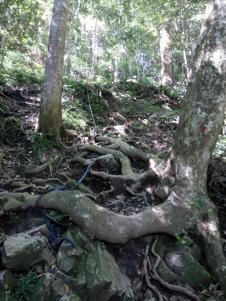 DSC_3781.JPG - 魚池  水社大山