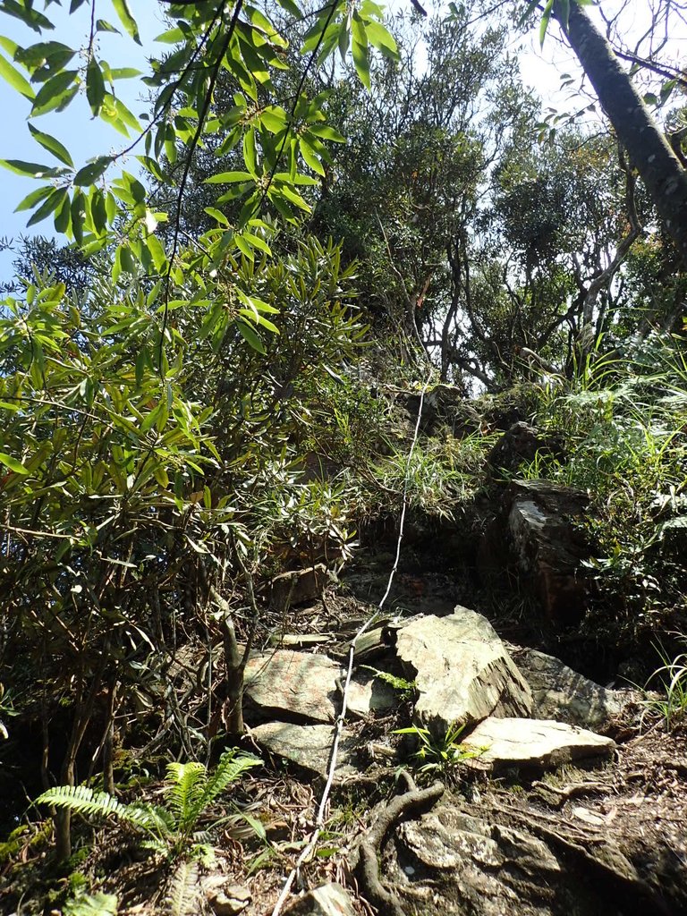 PA040457.JPG - 魚池  大尖山登山步道