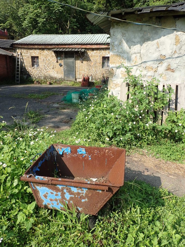 P5132826.JPG - 平溪  白石腳  菁桐坑遺跡