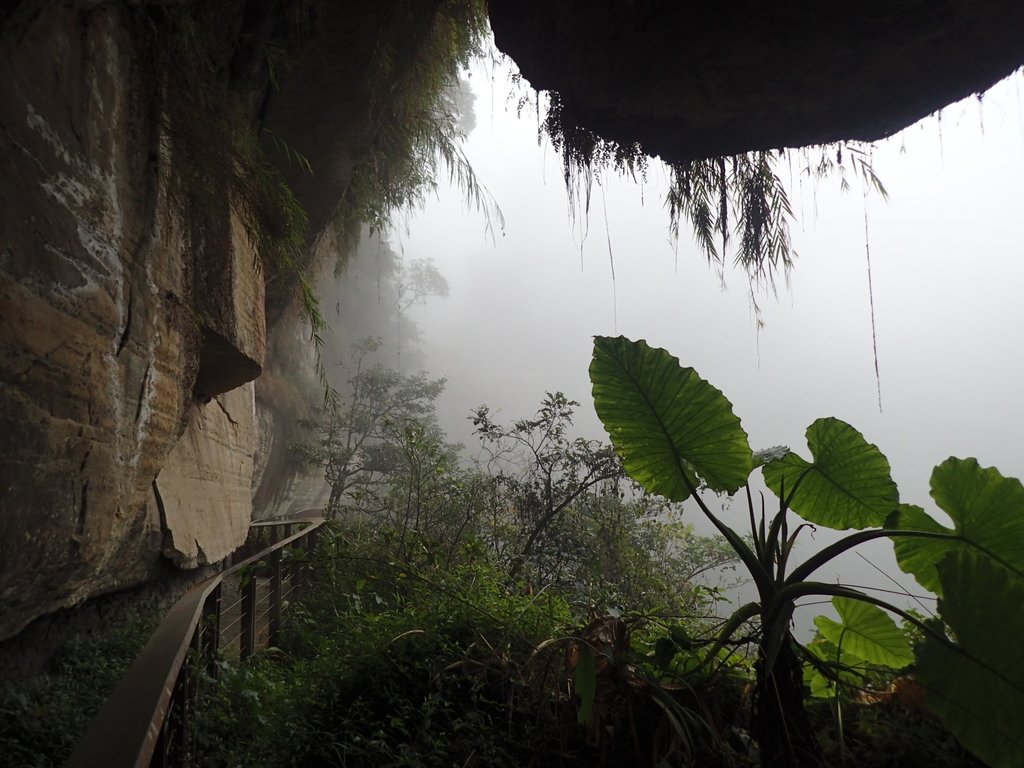 P1086448.JPG - 梅山  瑞峰村  竹坑溪步道