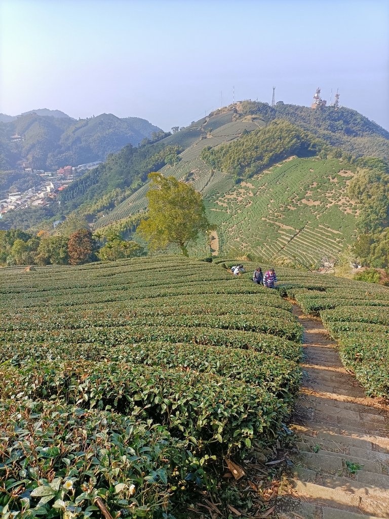 IMG20210130094103.jpg - 雲嘉連峰之  太平山  梨子腳山