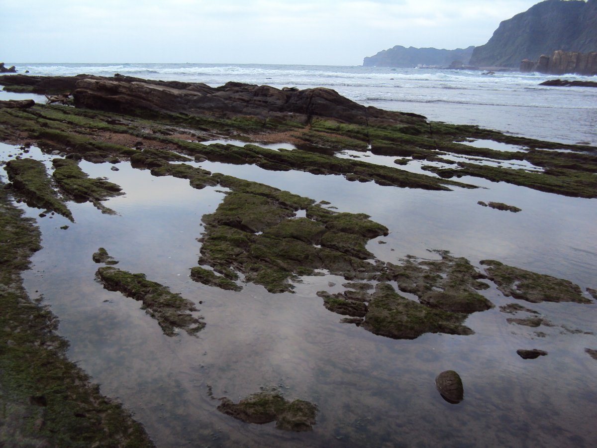 DSC06357.JPG - 瑞芳  南雅海岸岩石之美