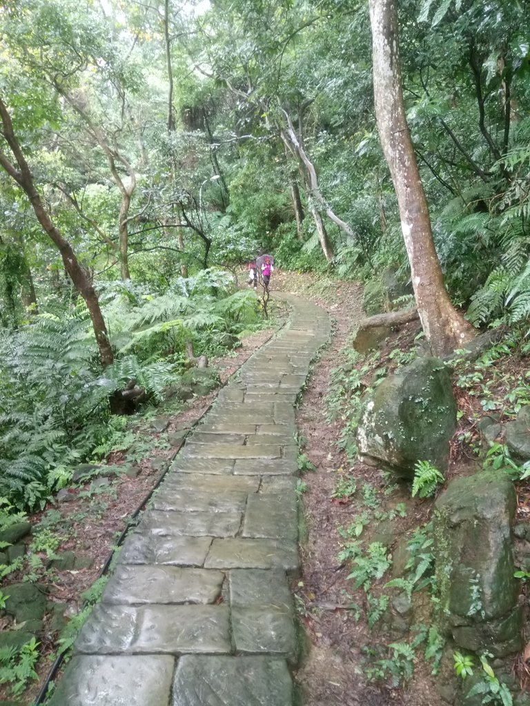 DSC_1714.JPG - 土城  天上山  登山步道