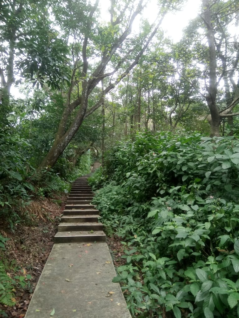 DSC_3067.JPG - 基隆  寶明寺