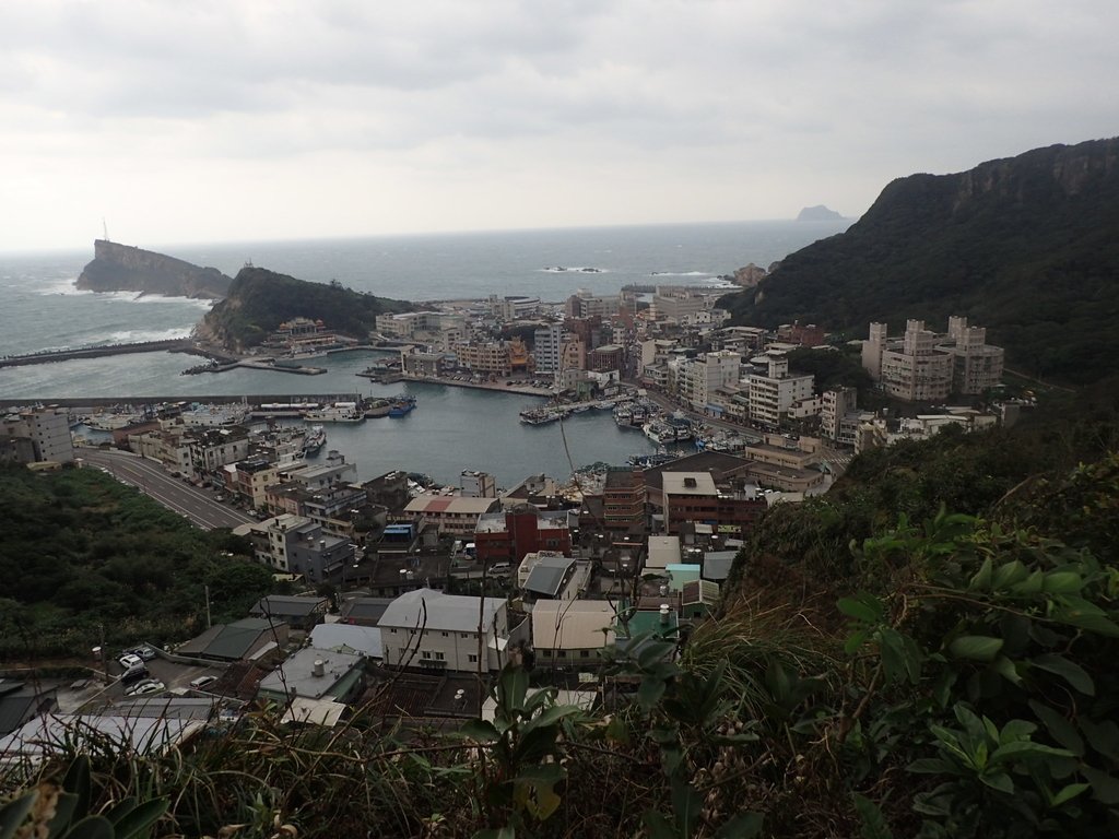 P1264025.JPG - 野柳  北八斗山稜線步道