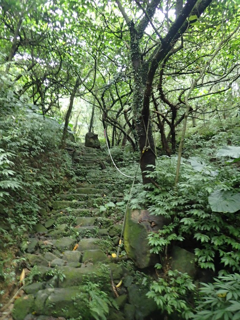 P1274460.JPG - 瑞芳  燦光寮古道初探