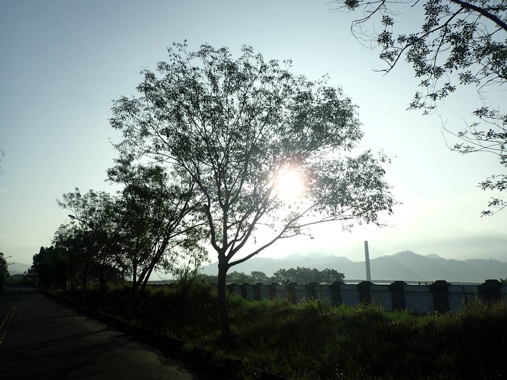 P1073098.JPG - 集集  集鹿大橋  晨光之美