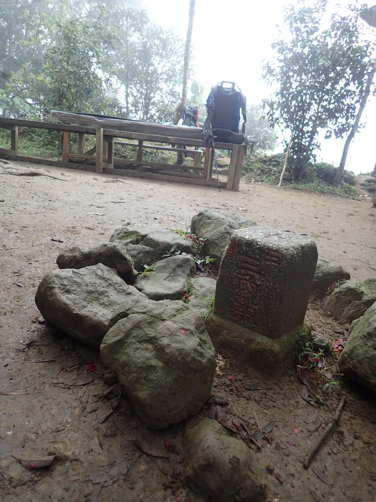 P2107539.JPG - 大溪  溪洲山登山步道