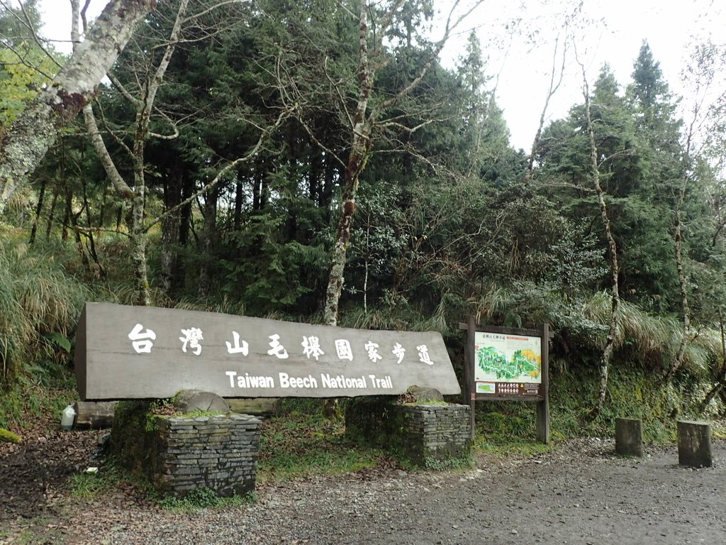 PB265370.JPG - 太平山  翠峰湖環山步道  02