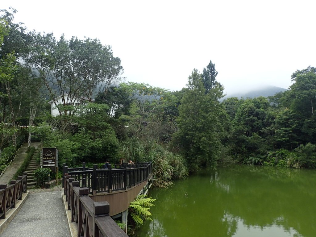 P9250251.JPG - 南庄  向天湖之  環湖步道