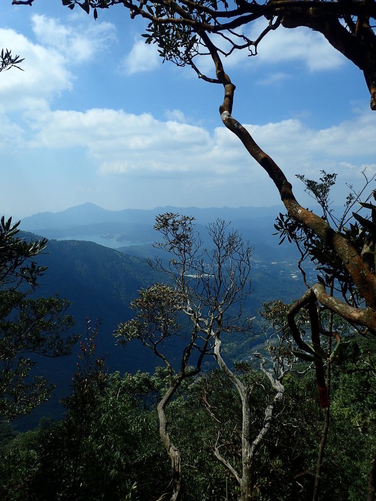 PA040461.JPG - 魚池  大尖山登山步道