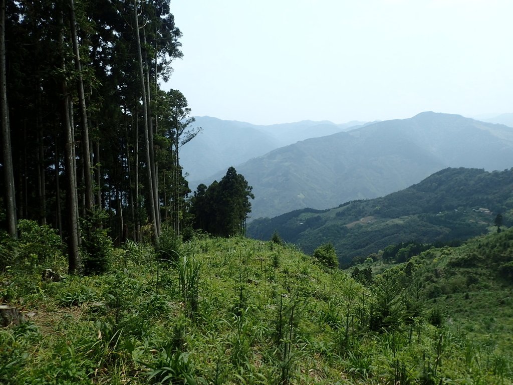 P4036939.JPG - 五峰  鵝公髻山登山步道  (02)