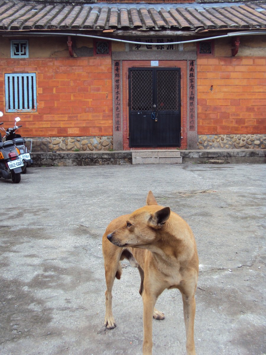 DSC09828.JPG - 八德  霄裡地區傳統民居