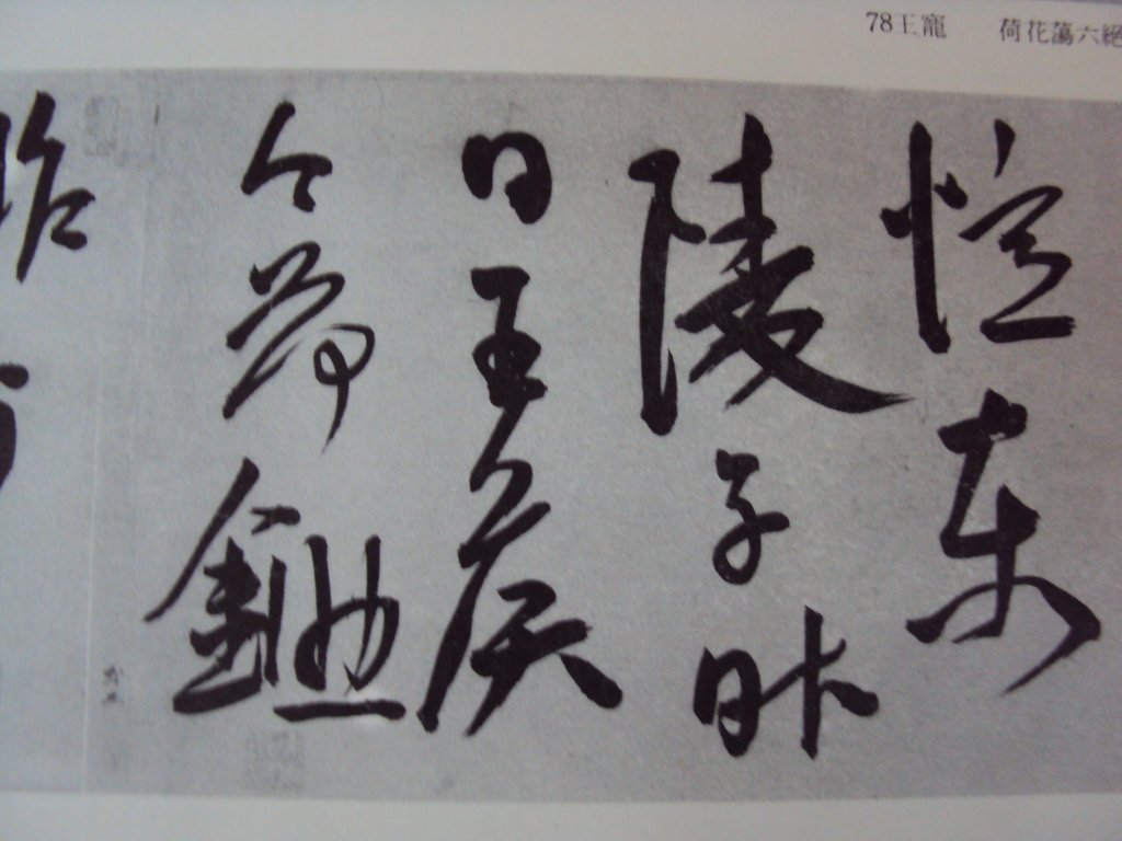 DSC00218.JPG - 王寵  草書作品