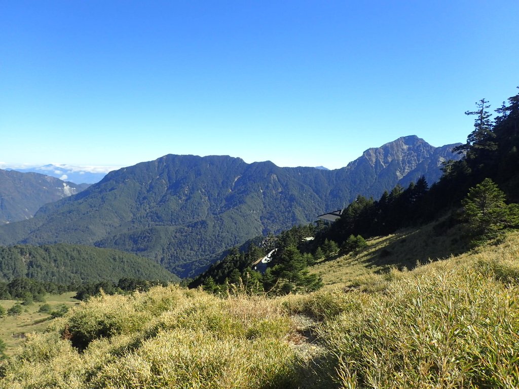 PC132191.JPG - 合歡山  東峰