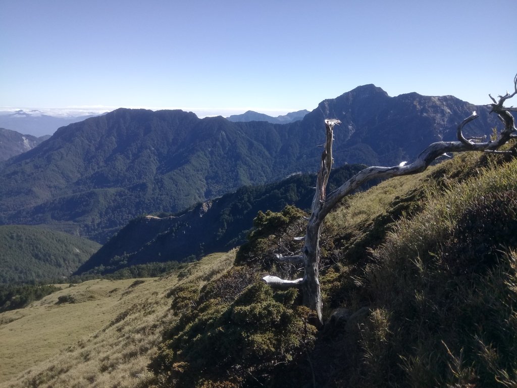 DSC_6676.JPG - 合歡山  東峰