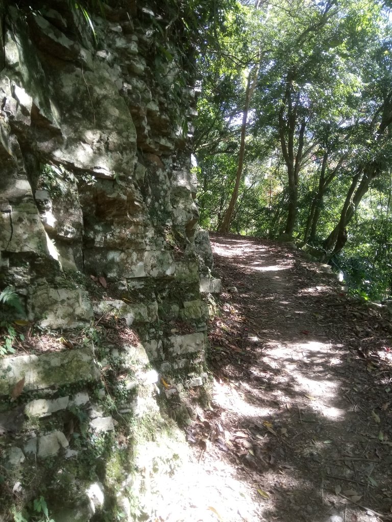 DSC_9012.JPG - 復興  東滿步道