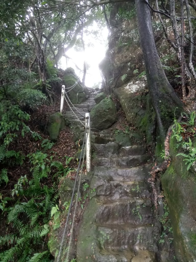 DSC_1728.JPG - 土城  天上山  登山步道