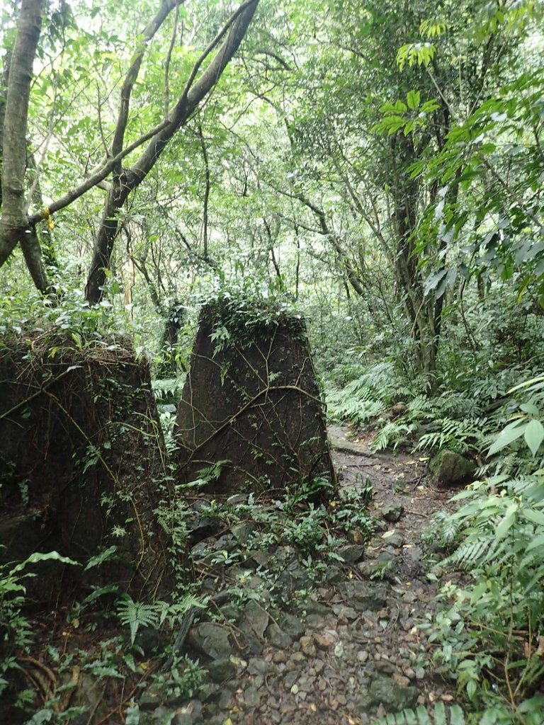 P1274389.JPG - 瑞芳  燦光寮古道初探