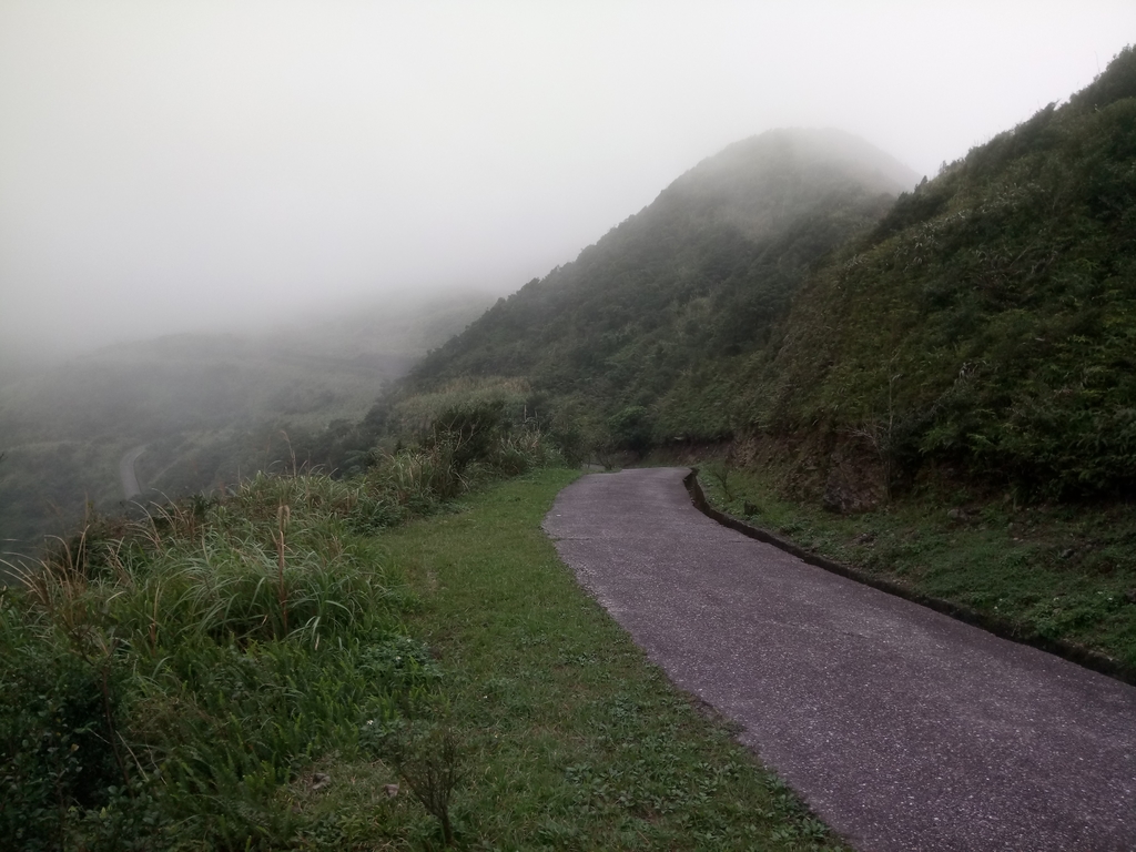 DSC_2903.JPG - 瑞芳  牡丹山