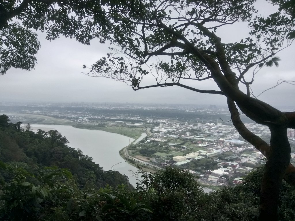 DSC_5177.JPG - 三峽  鳶山  (福德坑山)