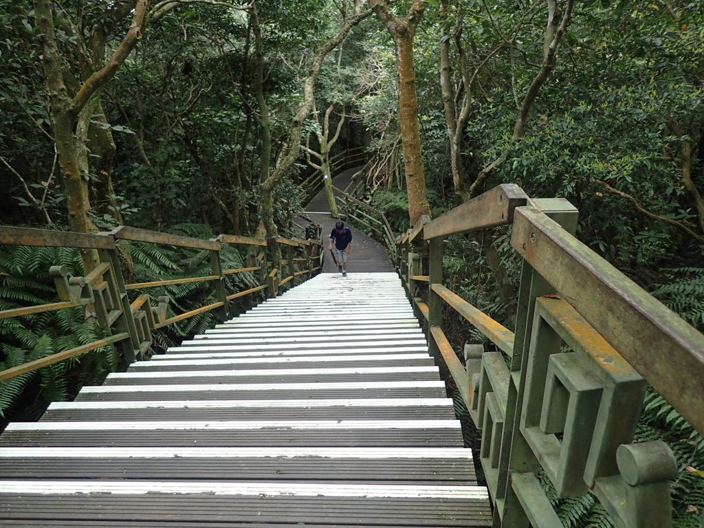 P2288684.JPG - 內湖  大崙頭山