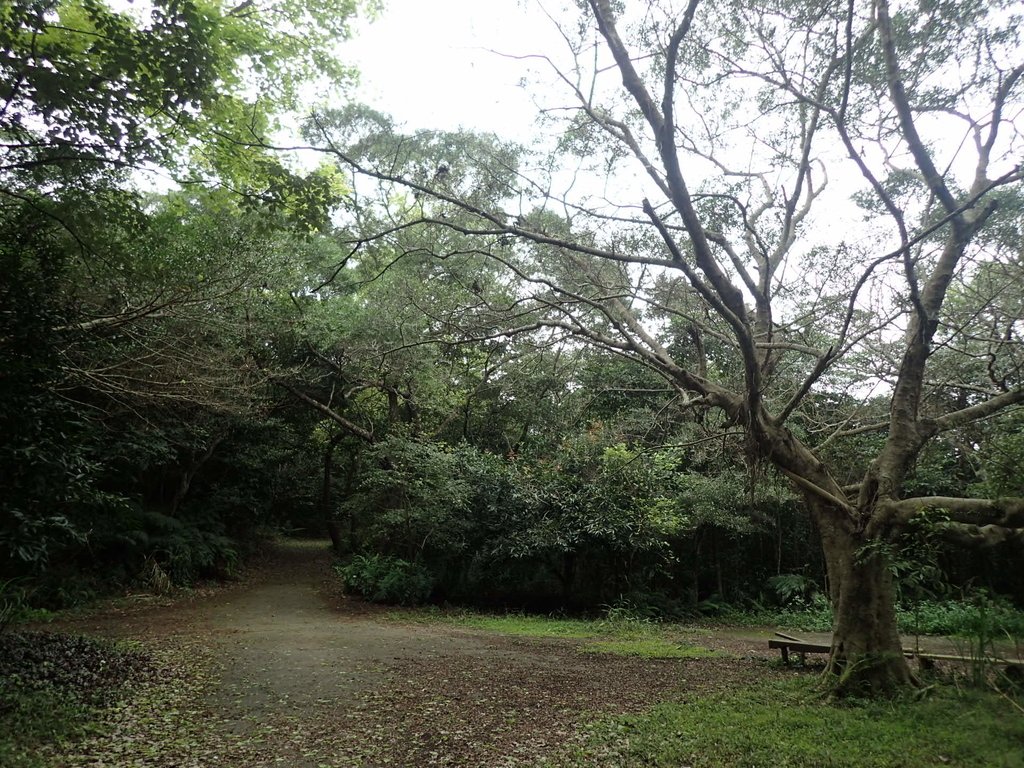 P2288765.JPG - 內湖  大崙尾山