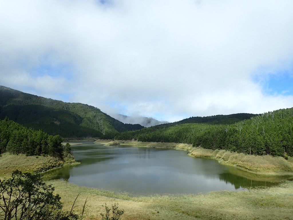 PB265380.JPG - 太平山  翠峰湖環山步道  02