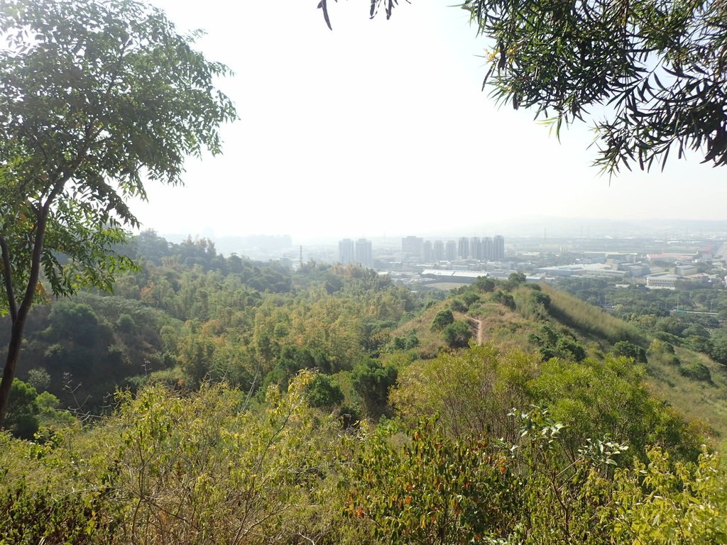 PA282041.JPG - 烏日  學田山登山步道