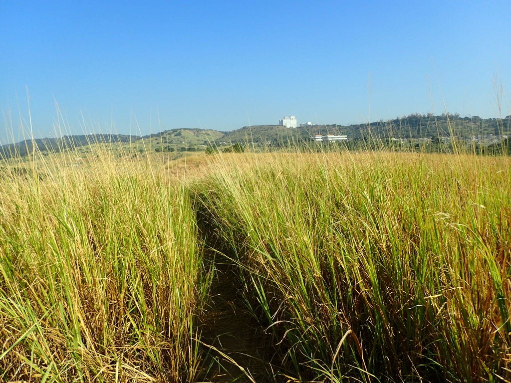 PA282020.JPG - 烏日  學田山登山步道