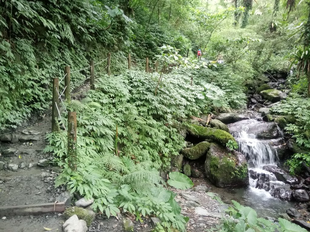 DSC_2801.JPG - 礁溪  聖母登山步道  (抹茶山)