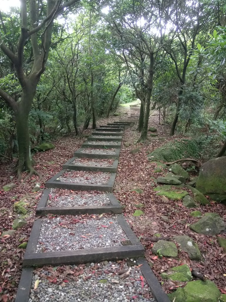 DSC_5360.JPG - 九份  小粗坑越嶺古道