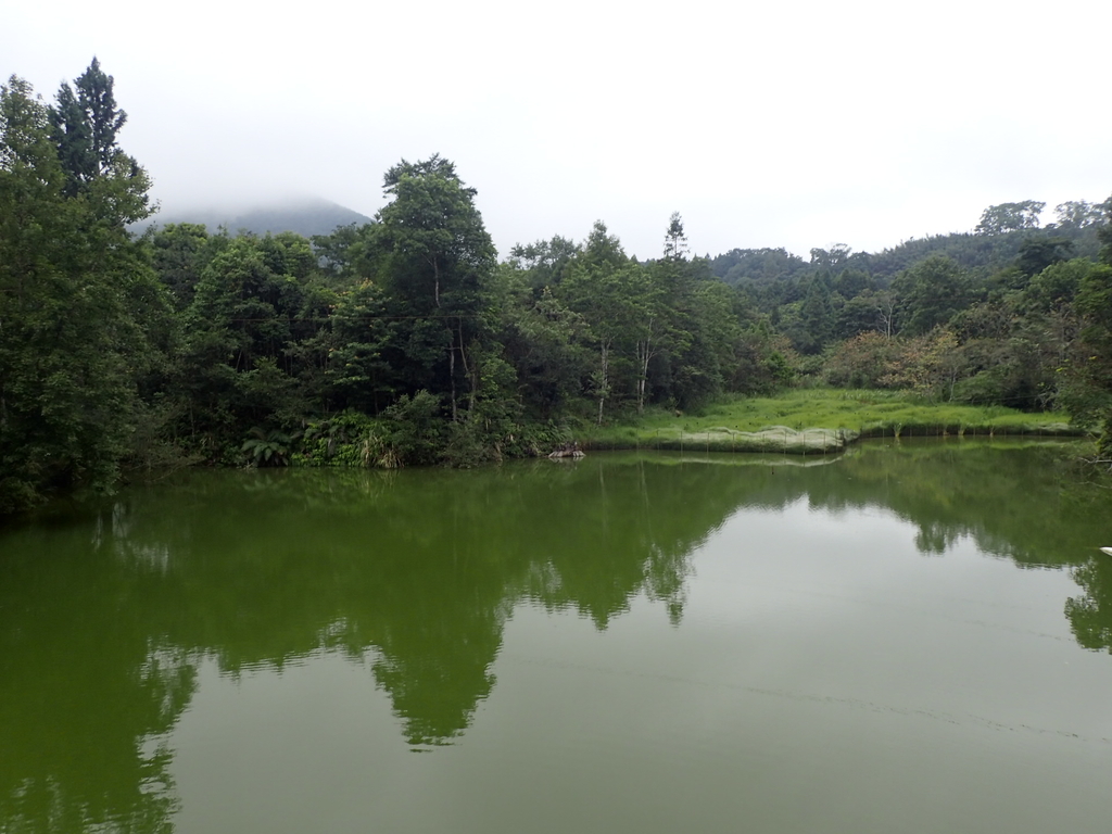 P9250252.JPG - 南庄  向天湖之  環湖步道