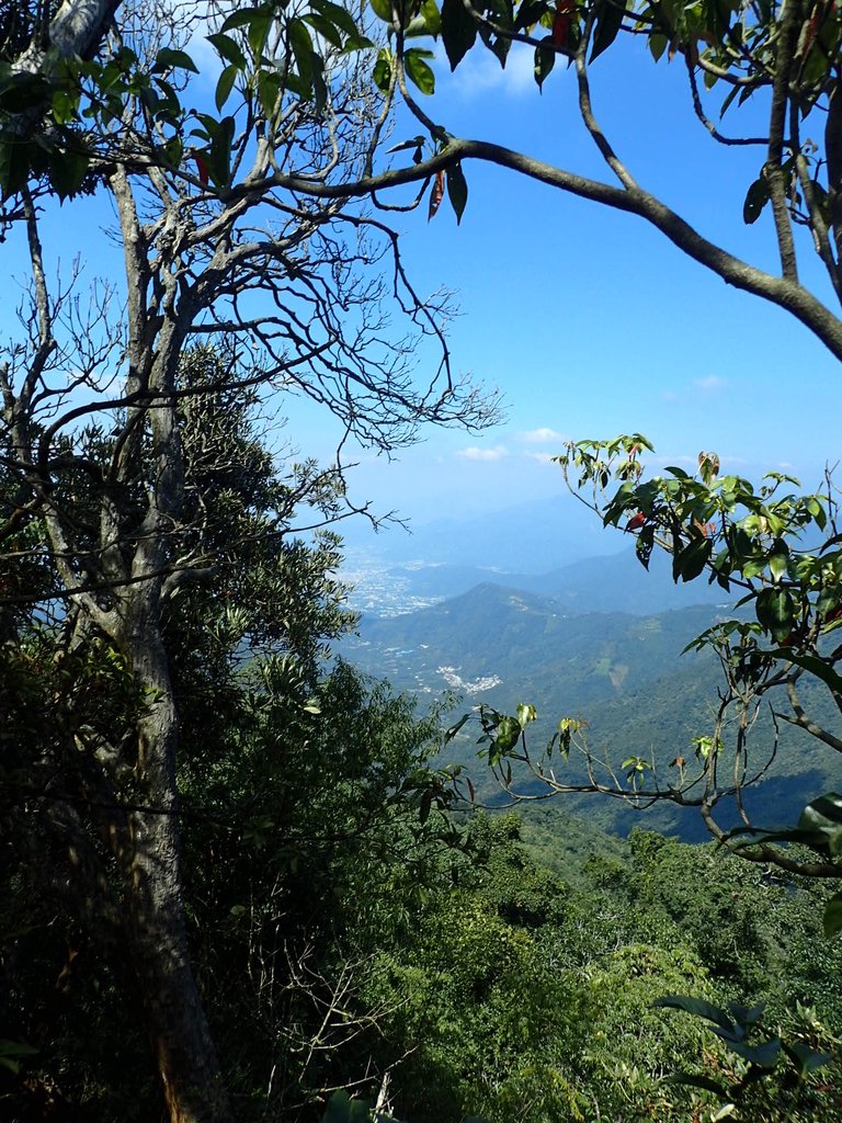 PA040463.JPG - 魚池  大尖山登山步道