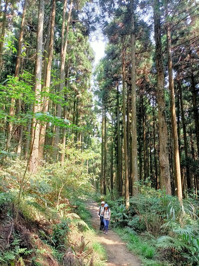 IMG20210403105835.jpg - 五峰  鵝公髻山登山步道  (02)