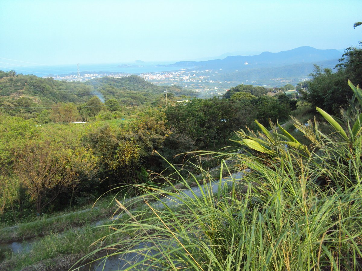 DSC09074.JPG - 金山  葵扇湖田野風光(二) 