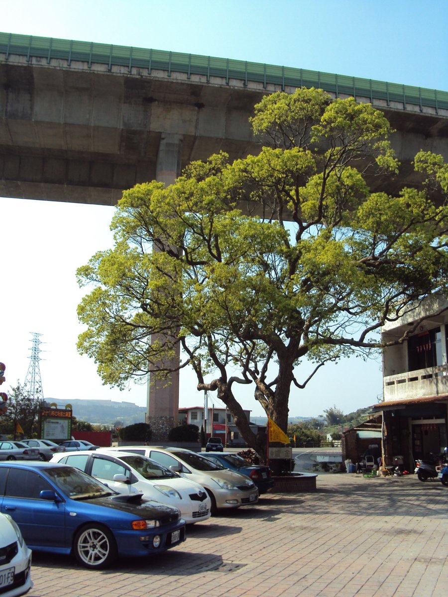 DSC09444.JPG - 西湖  店仔街  五龍宮