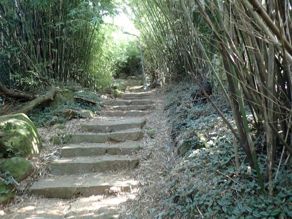 P9238164.JPG - 北投  面天山  向天湖步道