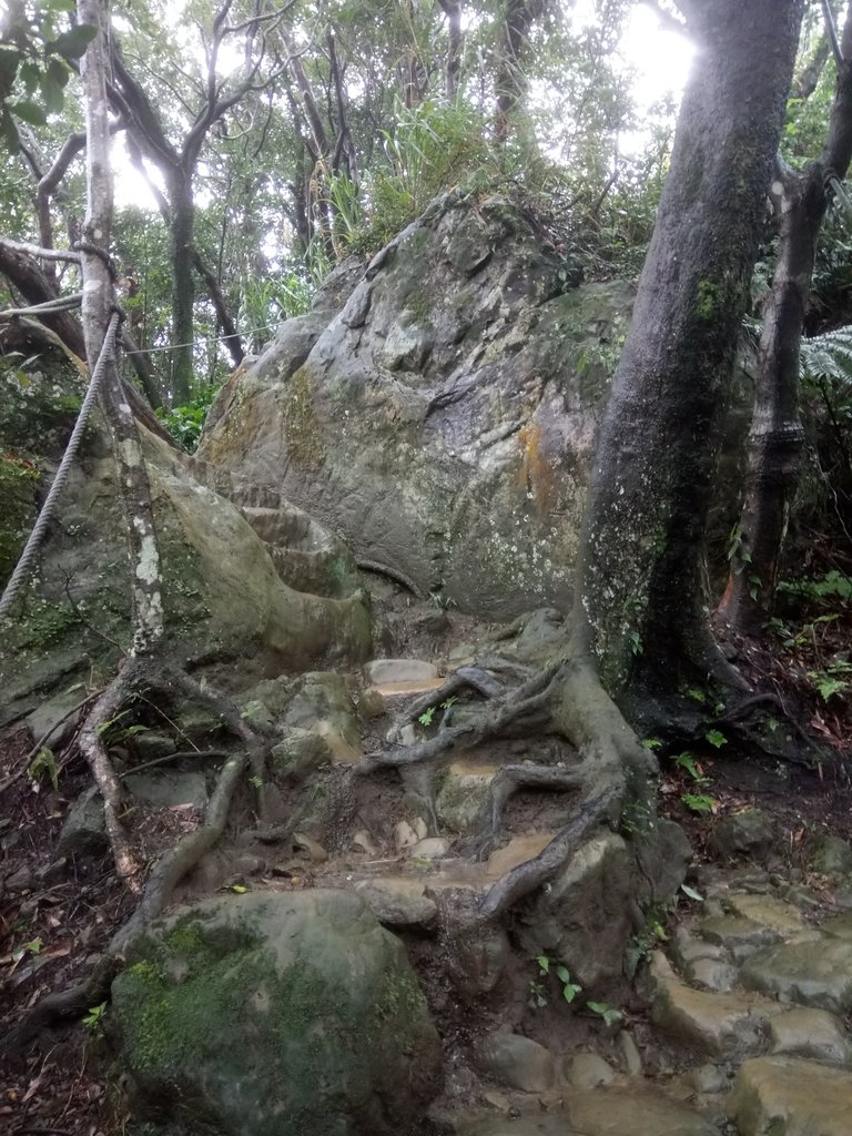 DSC_1731.JPG - 土城  天上山  登山步道