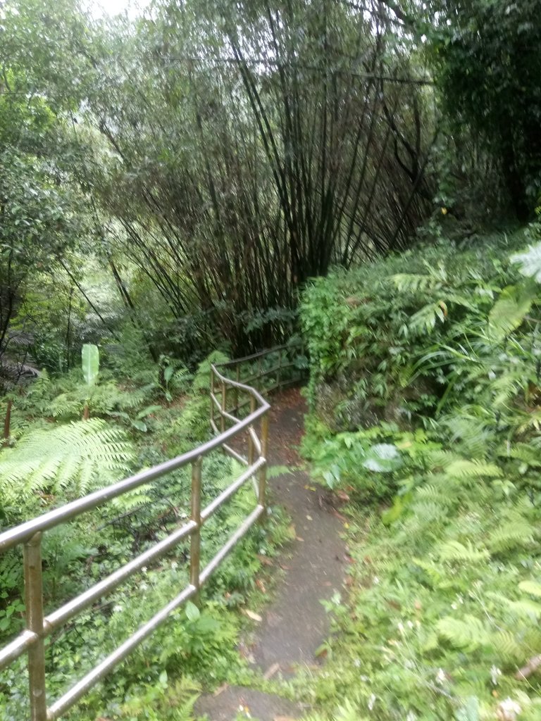 DSC_8453.JPG - 深坑  炮子崙登山步道