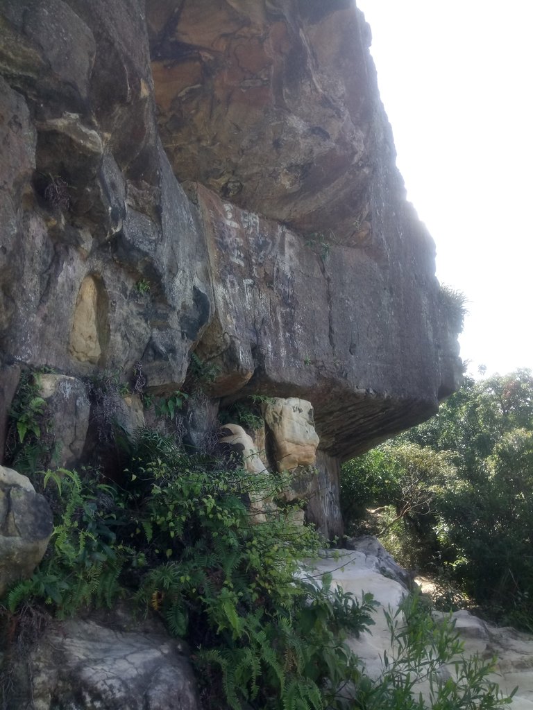 DSC_4168.JPG - 丹鳳山  軍艦岩步道