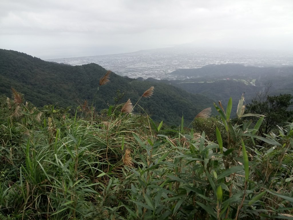 DSC_2804.JPG - 礁溪  聖母登山步道  (抹茶山)