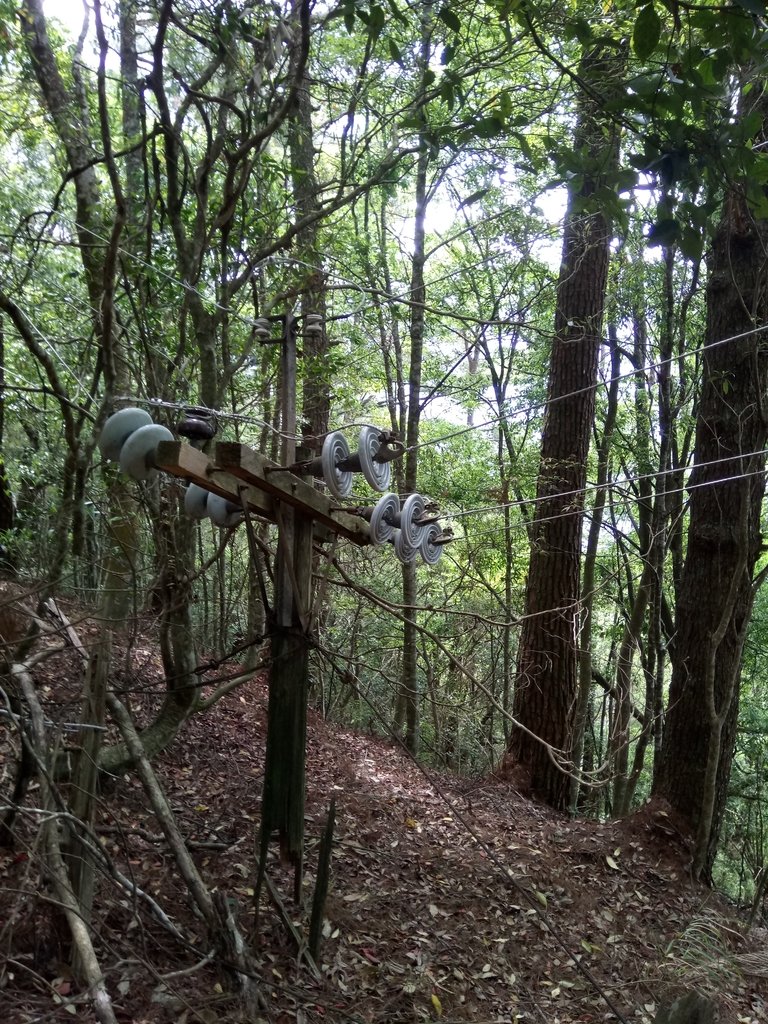 DSC_6473.JPG - 谷關七雄之  波津加山